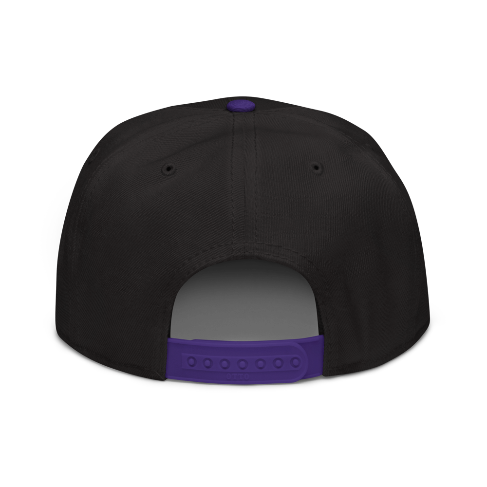 The Hardys "Distressed Infinity Logo" Snapback alternate view